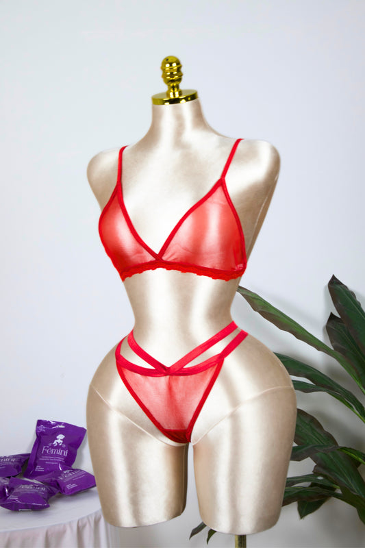 Mesh Strappy Bra and Panty Set