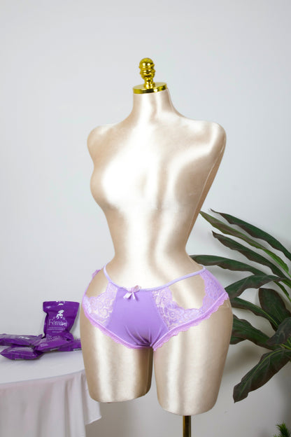 Sheer Reveal Lace Brief panty