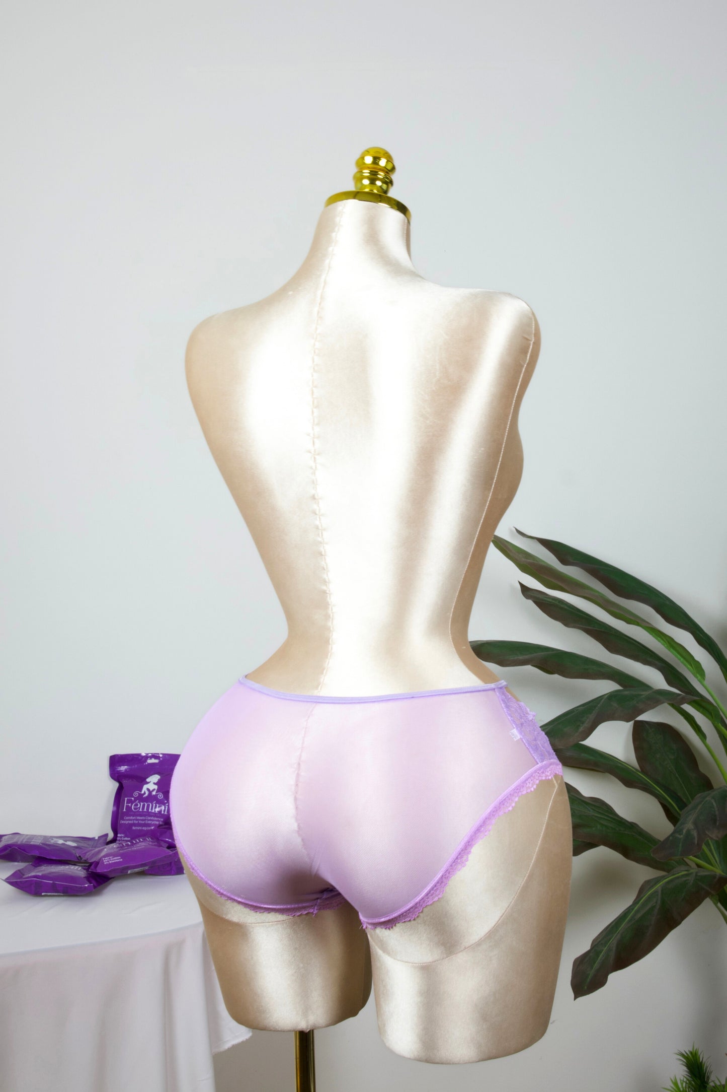 Sheer Reveal Lace Brief panty