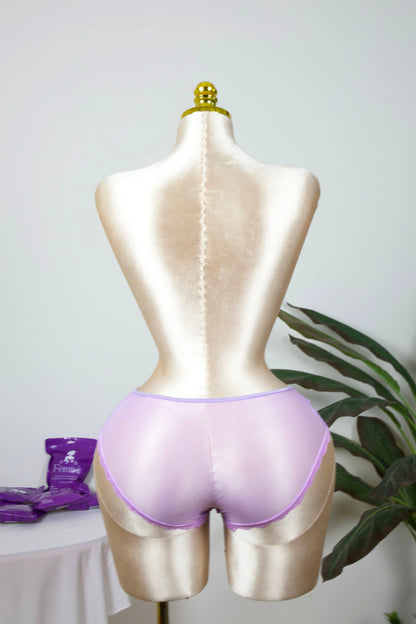 Sheer Reveal Lace Brief panty