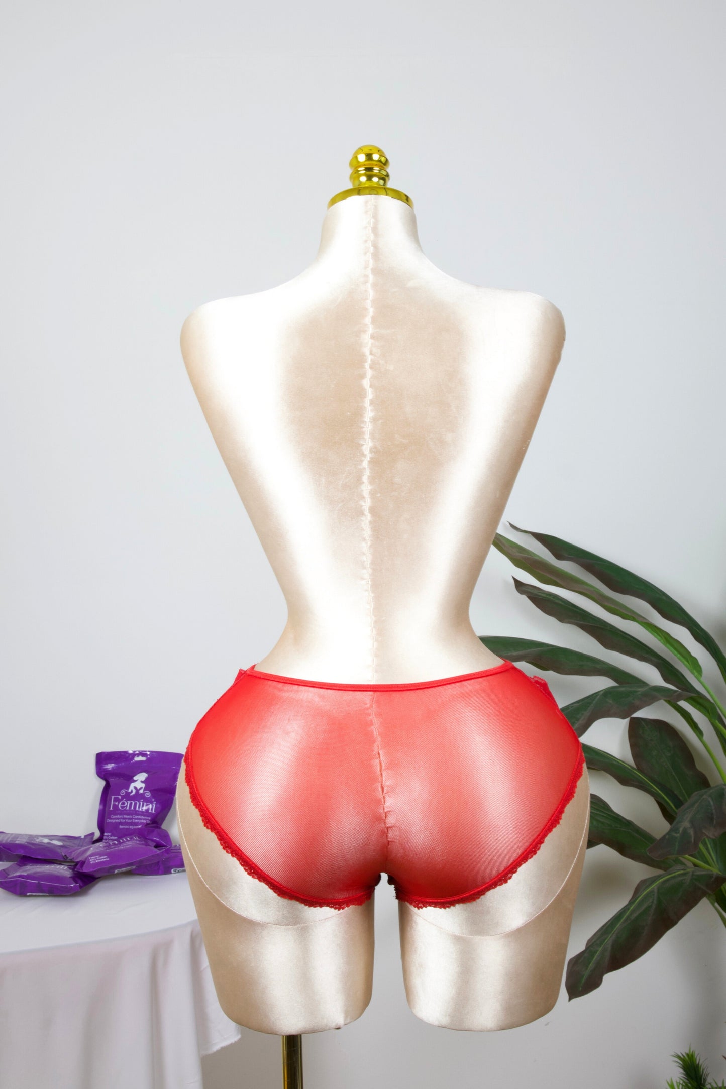 Sheer Reveal Lace Brief panty