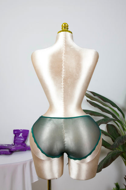 Sheer Reveal Lace Brief panty