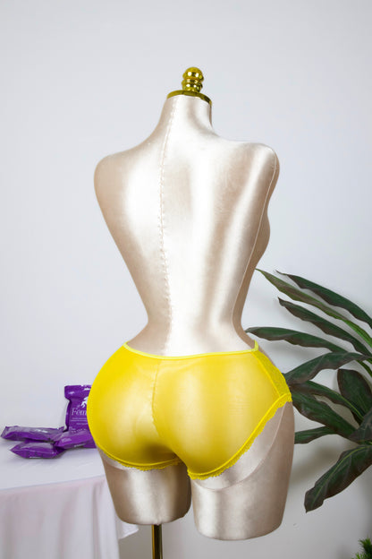 Sheer Reveal Lace Brief panty