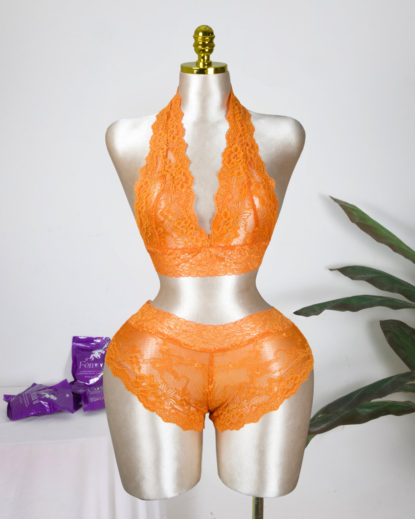 Backless Lace Bra & shortie Set