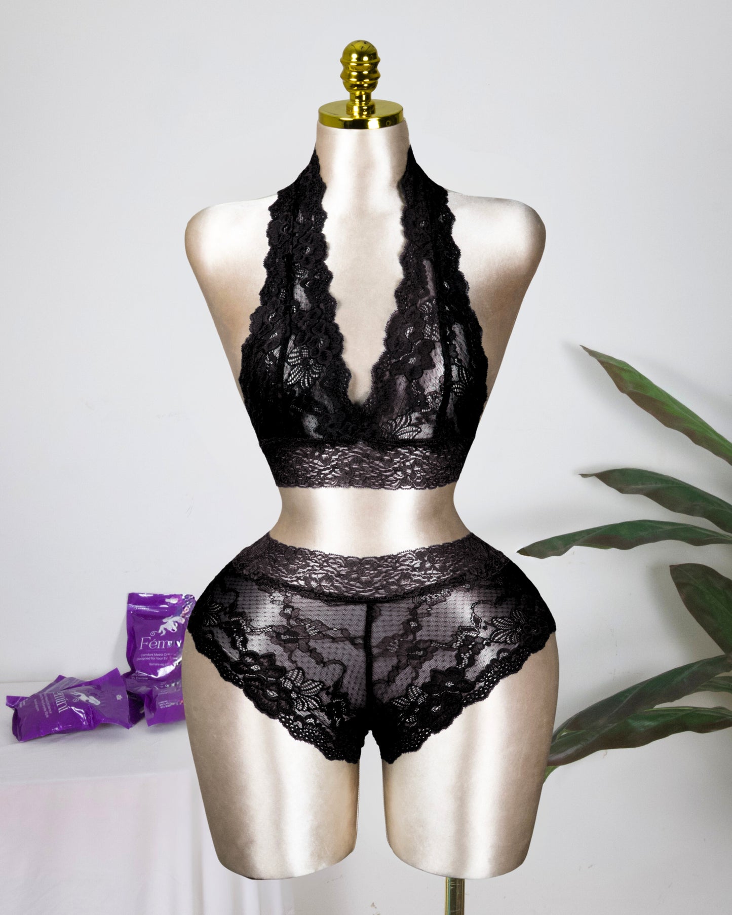 Backless Lace Bra & shortie Set