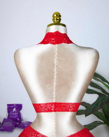 Backless Lace Bra & shortie Set