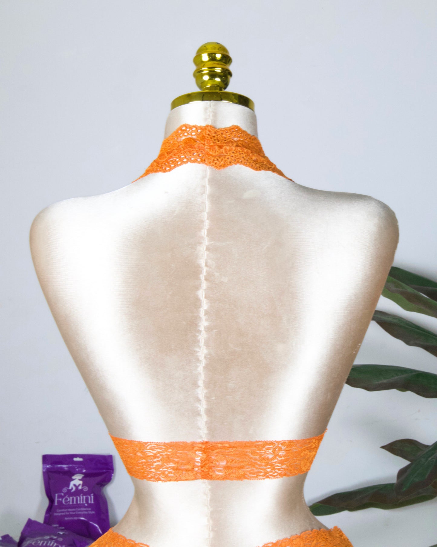 Backless Lace Bra & shortie Set