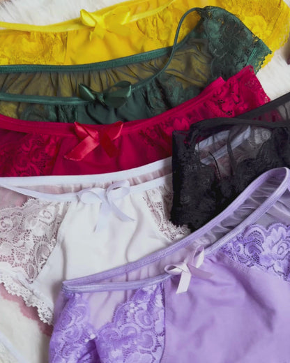 Sheer Reveal Lace Brief panty